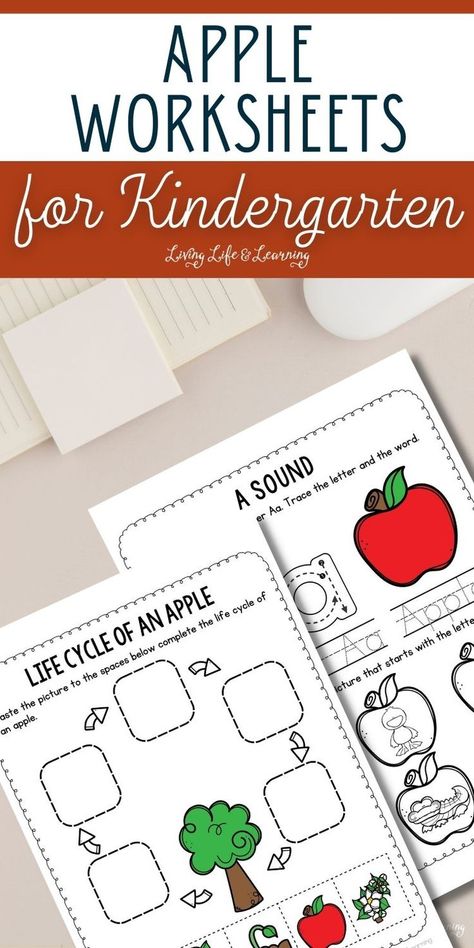 Apple Worksheets for Kindergarten Apple Literacy Activities, Apple Activities Kindergarten, Homeschool Fall Activities, Apple Literacy, Life Cycles Kindergarten, Apple Unit Study, Apple Kindergarten, Apple Life Cycle, Apple Activities