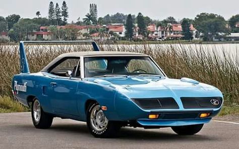 Bluebird 1970 Plymouth Roadrunner, Plymouth Muscle Cars, Plymouth Superbird, Plymouth Cars, Dodge Daytona, Plymouth Road Runner, Plymouth Roadrunner, Mopar Muscle Cars, Mopar Cars