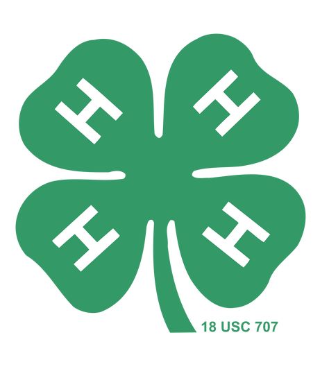 4 H Clover, 4 H Club, Youth Programs, H Logos, Programming For Kids, County Fair, 3d Christmas, State Fair, Inspiration For Kids