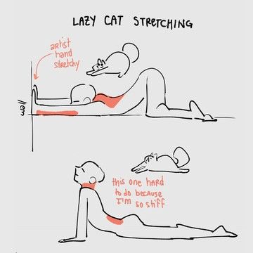 Cat Stretching, Easy Yoga Workouts, Lazy Cat, 웃긴 사진, Easy Yoga, Figure Drawing Reference, Flexibility Workout, Quick Workout, Anime Poses Reference