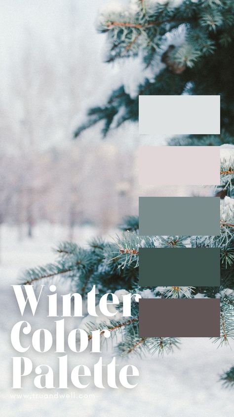 Green Winter Color Palette, Winter Color Inspiration, Shaded Winter Color Palette, Winter Wedding Pallet Colors, January Color Palette 2023, Muted Winter Color Palette, Winter Pallet Ideas, Modern Winter Color Palette, Cozy Winter Color Palette