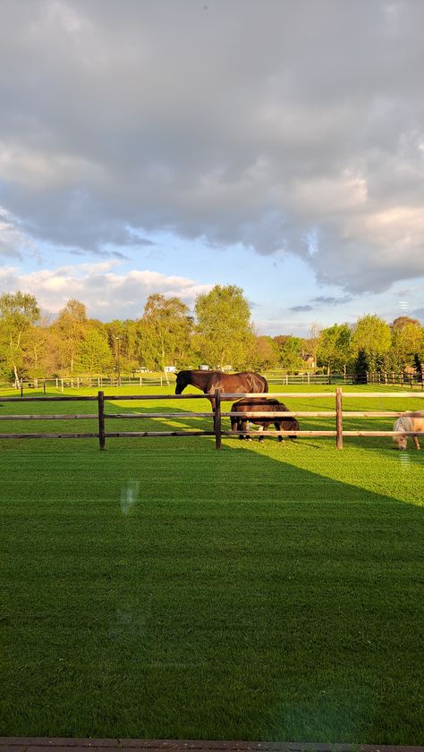 Stud Farm, Horse Barn Designs, Dog Shelter, Ranch Farm, House Yard, Bordeaux France, Dream Barn, Horse Farm, Barn Design