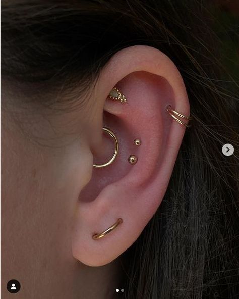 Cofc Dorm, Double Conch, Cleaning Piercings, Orbital Piercing, Ear Curation, Ear Peircings, Ear Cuff Piercing, Conch Piercing Jewelry, Cool Ear Piercings