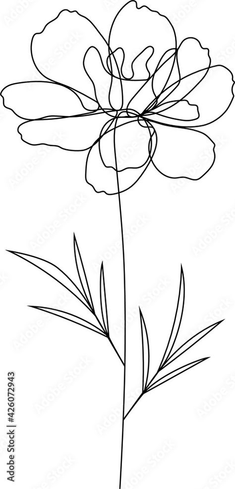 Download Continuous line marigold floral drawing, October birth flower, vector (Tagetes) Daisy family Stock Vector and explore similar vectors at Adobe Stock. Mum Drawing Flower, One Line Floral Drawing, Marigold Sketch Simple, Daisy Tattoo One Line, Marigold Line Tattoo, October Flower Drawing, Tattoo Marigold Flower, Daisy Flower Line Art, One Line Marigold Tattoo