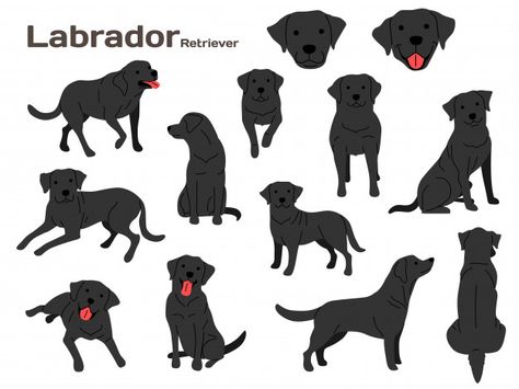 Labrador Illustration, Black Dogs Breeds, Background Family, Dog Character, Dog Poems, Pet Transport, Adobe Illustrator Design, Puppy Drawing, Japanese Dogs