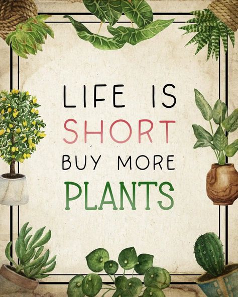 Garden Sign Ideas, Plant Quotes, Gardening Humor, Garden Diary, Garden Chic, Plants Quotes, Cottage Market, Garden Quotes, Garden Journal