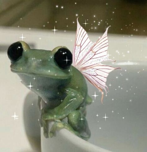 Frog Oc, Frog Pictures, Alien Stage, Everything And Nothing, Cute Frogs, Cute Kawaii, Tik Tok, Piano, Sparkle