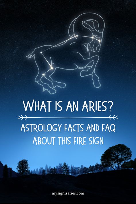 What Is An Aries_ Astrology Facts and FAQ About This Fire Sign, Aries Zodiac Traits #aries #ariessign #astrology #zodiacsign Aries Personality Traits Men, Aries Turn Ons, Aires Zodiac, Aries The Ram, About Aries, Astrology Signs Aries, All About Aries, Aries Traits, Aries Zodiac Facts