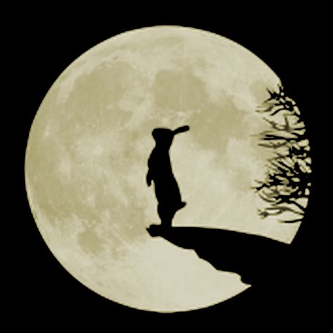 Bunny Moon Courtesy of Shisedodojo.com Hare Moon, Moon Gazing Hares, Rabbit Art, Bunny Art, Funny Bunnies, Art Et Illustration, Moon Art, Pics Art, 귀여운 동물