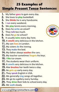 25 Examples of Simple Present Tense Sentences Present Tense Sentences, 12 Verb Tenses, Simple English Sentences, English Grammar Notes, Basic English Sentences, Learning Grammar, English Grammar For Kids, Make The Bed, Simple Present Tense