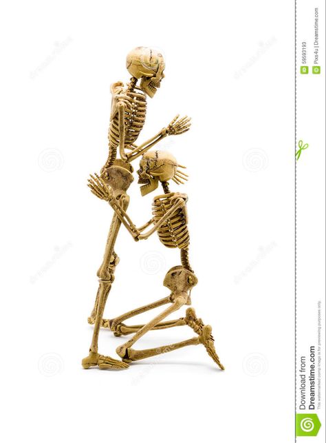 Skeleton Posing, Tips For Drawing, Skeletal System, Human Skeleton, Different Poses, Skeleton Art, Pose Ref, Skeletal, My Images