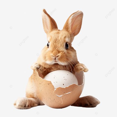 cute easter bunny in easter eggs hatching happy easter happy easter day bunny png Easter Happy, Bunny Png, Cute Easter Bunny, Transparent Image, Happy Easter Day, Cute Easter, Easter Day, Free Png, Happy Easter