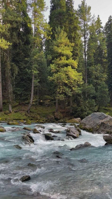 ��📍Kashmir Kashmir Trip, Mountain Aesthetic, Mountains Aesthetic, Travel Infographic, Waterfall Adventure, Sky Photography Nature, Travel Pictures Poses, Nature Instagram, Nature View