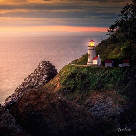 Heceta Head Lighthouse, Florence Oregon, Oregon Life, Lighthouse Photos, Oregon Coast, Rose Buds, Lighthouse, Florence, Oregon