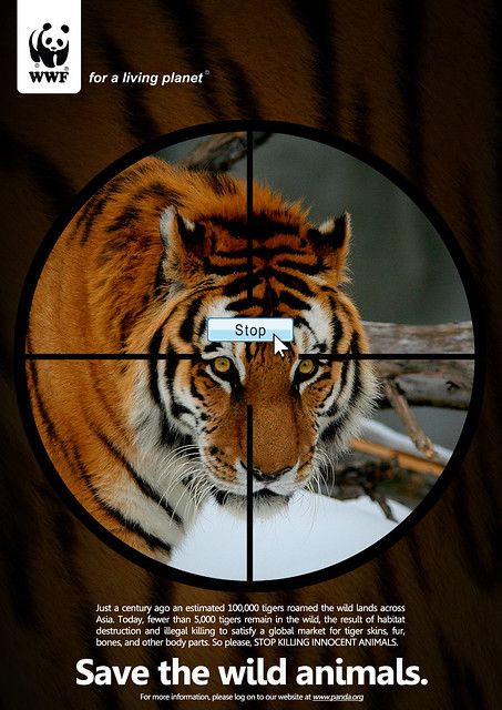 All sizes | Save the wild animals poster | Flickr - Photo Sharing! Save Animals Poster, Diarama Ideas, Save The Tiger, Animals Poster, Tiger Poster, Save Wildlife, Animal Conservation, Habitat Destruction, Publicidad Creativa