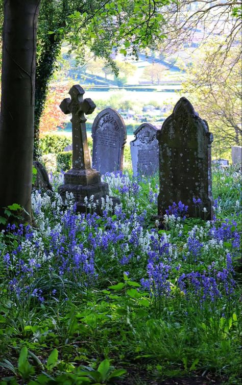 Cemeteries Photography, Cemetery Headstones, Old Cemeteries, Cemetery Art, Season Of The Witch, Environment Design, Memento Mori, Nature Aesthetic, Fantasy Landscape