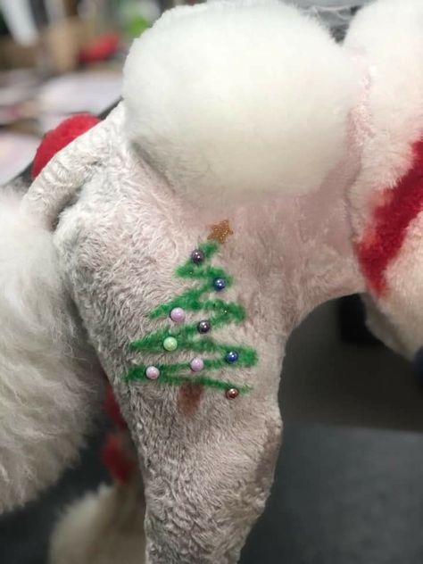 Christmas Dog Grooming, Creative Dog Grooming Christmas, Christmas Dog Hair Dye, Christmas Creative Grooming, Poodle Hair Dye, Toy Poodle Puppy Cut, Dog Dye Ideas, Poodle Groom, Poodle Puppy Cut