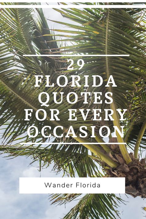 These Florida quotes are some of my favorites because they really encompass what Florida's about. Use them to dream about your Florida vacation or for an Instagram caption or just because you love quotes about Florida. All 29 are on the blog: https://www.wanderflorida.net/florida-quotes #floridaquotes #quotesaboutflorida #inspirationalquotes #quoteoftheday Florida Quotes, Wellington Florida, Sunshine Quotes, Vacation Quotes, Florida Lifestyle, Travel Quotes Inspirational, Quotes About New Year, Quotes To Inspire, Chicago Tribune