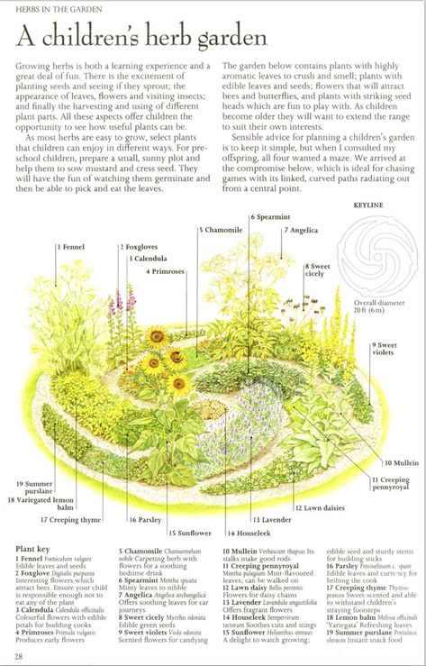 Family Food Garden, Productive Garden Design, Edible Garden Design Layout, Spice Garden Outdoor, Medicinal Herb Garden Design, Herb Garden Design Layout, Garden Blueprint, Spices Garden, Medicine Garden