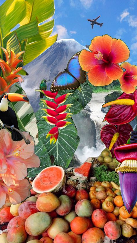 Rainforest Jungle moodboard Jungle Collage, Insta Story, Costa Rica, Mood Boards, Collage