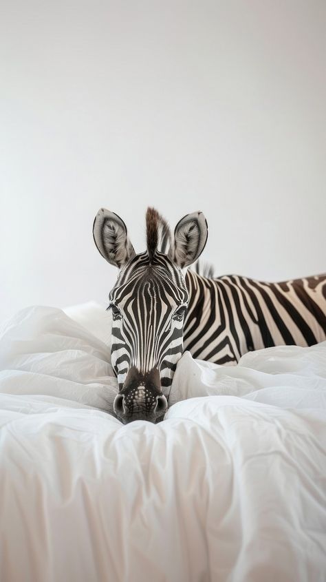 Tiger wildlife animal blanket. | Free Photo - rawpixel Zebra Wallpaper Aesthetic, Zebra Aesthetic, Wallpaper Background Aesthetic, Cute Furniture, Animal Blanket, Background Aesthetic, Wildlife Animals, Download Free Images, Zebras