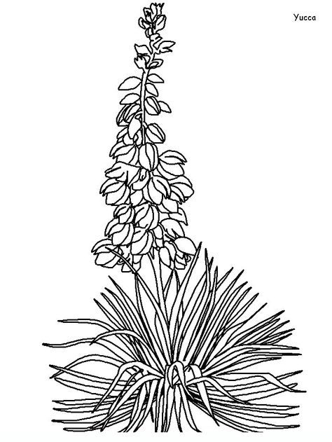 Embroidery Elements, Pocket Garden, Fathers Day Coloring Page, Yucca Plant, Fish Coloring Page, Flowers Coloring, Flower Outline, Math Coloring, Thistle Flower