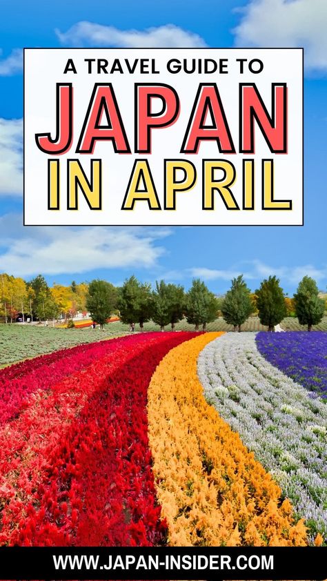 Is April a good month to visit Japan? Here's everything you need to know | Japan Insider Japan In The Spring, Tokyo In April, Japan In April, Traveling To Japan, Spring In Japan, Japan Spring, Cherry Blossom Festival, Nature Tour, Cherry Blossom Season