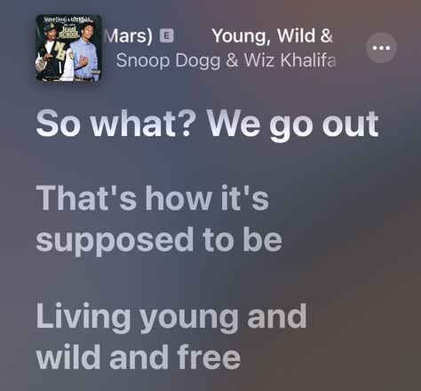 Snoop Dogg Lyrics, Popular Lyrics, Young Wild Free, Wiz Khalifa, Mobile Case, Wild Free, Snoop Dogg, Wild And Free, The Wiz