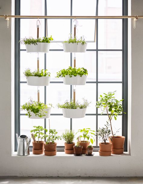 Got garden dreams but only a small apartment? Try extending your windowsill by hanging pots. Koti Diy, Mini Serre, Ikea Wall, Window Plants, نباتات منزلية, Apartment Plants, Basement Windows, Indoor Window, Diy Ikea