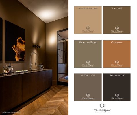 Pure Original Paint, Brown Interior Paint, Brown Wall Paint, Brown Hallway, Pure And Original, Indochine Interior, Hallway Colours, Lime Paint, Backyard Fireplace