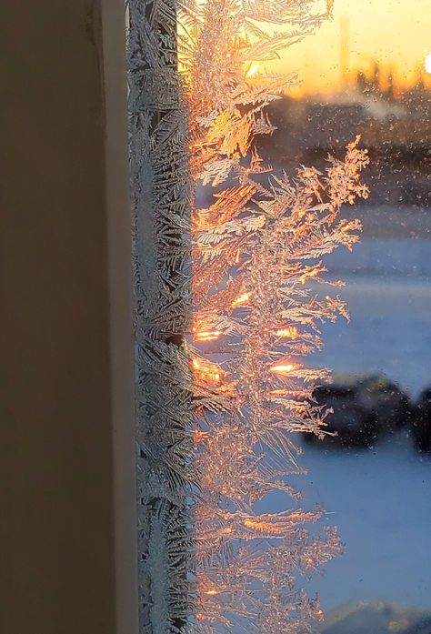 Winter's morning light, hoarfrost, frozen Crystals, Alaska, Holidays, Frozen Window, Ice Crystals, Winter Mornings, Spring Art, Morning Light, Frozen