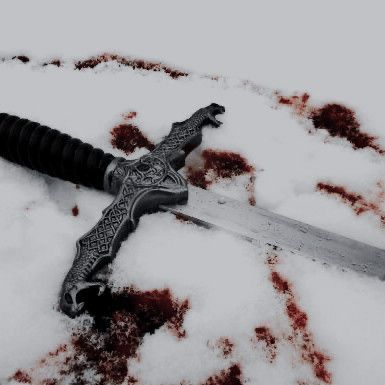 Blood On Snow, Half Elf, Targaryen Aesthetic, My Pillow, Avicii, Fantasy Aesthetic, High Fantasy, Throne Of Glass, Elder Scrolls