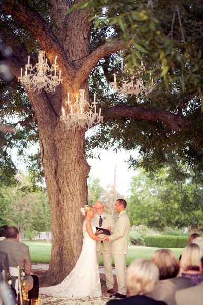 #chandeliers (credits: 	  Barr Mansion & Artisan Ballroom and AJH Photography) Barr Mansion, Under A Tree, Outdoor Wedding Ceremony, Photo Couple, Wedding Wishes, Fairytale Wedding, Here Comes The Bride, Outdoor Ceremony, 1 800