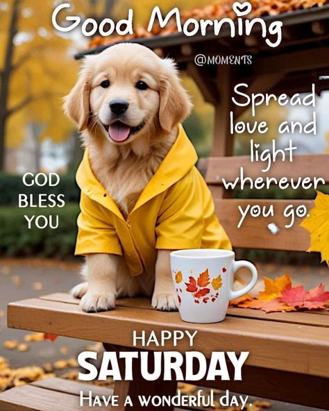 Saturday Morning Fall Quotes, Good Morning Happy Saturday Fall, Saturday Morning Greetings, Good Morning Happy Weekend, Happy Saturday Quotes, Saturday Morning Quotes, Happy Saturday Morning, Saturday Greetings, Good Morning Happy Saturday