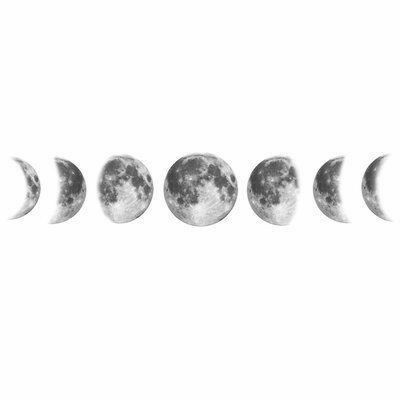 Moon Phases Drawing, Moon Phases Tattoo, Tattoo Line, Moon Tattoo Designs, Tattoos Geometric, Phases Of The Moon, 背景 シンプル, Moon Flower, Black And White Aesthetic