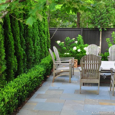 falkner gardens :: garden terrace at Mountain Brook, Alabama residence Boxwood Landscaping, Courtyard Ideas, Small Courtyard, Privacy Plants, Small Courtyard Gardens, Privacy Landscaping, Courtyard Gardens Design, Courtyard Design, Backyard Privacy