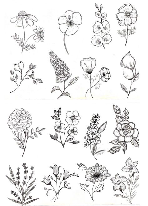 Botanical Doodles Flower, Botanical Drawings Black And White, Flower Drawing Sketches, Red Rose Tattoo Design, Flower Sketch Pencil, Procreate Pattern, Rose Drawing Simple, Rose Line Art, Doodle Art Flowers