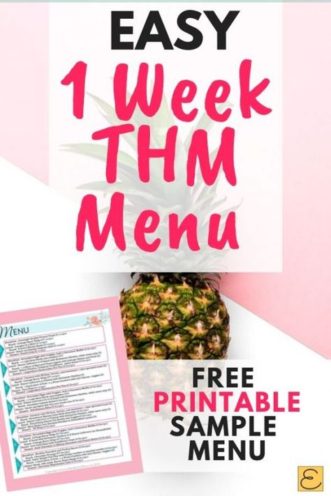 This easy, customizable THM Meal Plan is perfect for beginners or anyone who wants to stay on plan! Adjust this simple weekly menu to your tastes and use it again and again! No special ingredients needed! I love how easy it is to stay on plan with Trim Healthy Mama with this THM menu. #trimhealthymama #trim #thm Trim Healthy Mama Meal Plan, Thm Meal Plans, Trim Healthy Mama Diet, E Meals, Trim Healthy Momma, Reduction Diet, Best Diet Foods, Medicine Tips, Baking Soda Beauty Uses