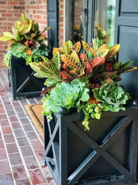 32 beautiful fall planters & outdoor decoration ideas for autumn & Thanksgiving porch & garden, using mums, flowers, pumpkins, kale, etc! – A Piece of Rainbow, container gardening, garden design, landscaping, curb appeal, autumn, patio, pots, backyard, home décor, Thanksgiving Fall Outdoor Planter Ideas, Fall Potted Plants, Shade Plants Container, Full Sun Container Plants, Fall Container Plants, Fall Flower Pots, Outdoor Planter Ideas, Plants For Shade, Fall Pots