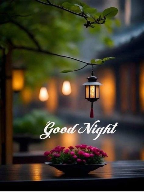 Sweet Good Night Images, Happy Good Night, Sweet Good Night, Sweet Good Night Messages, Good Night Love Pictures, Romantic Good Night Image, New Good Night Images, Good Night Images Hd, Lovely Good Night