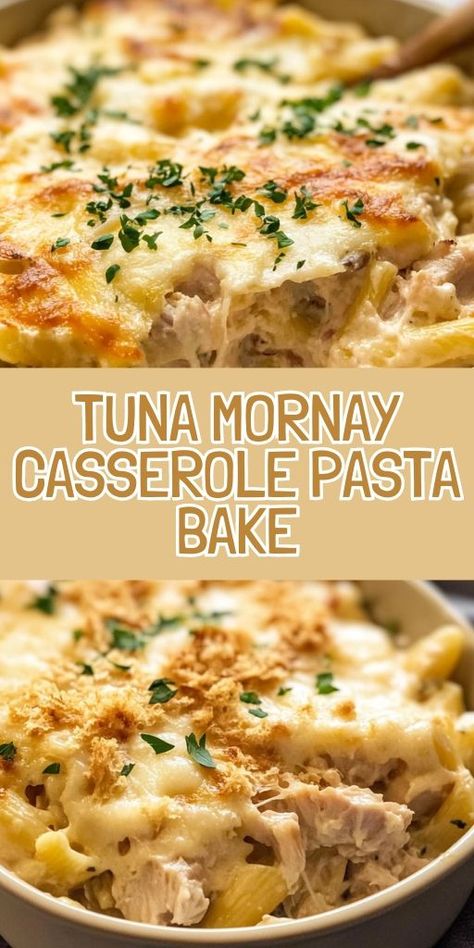 🧀 Craving comfort food? Try this Tuna Mornay Casserole Pasta Bake, a creamy, cheesy dish that’s perfect for family dinners or meal prep! Loaded with tender pasta, flavorful tuna, and a golden-brown cheesy topping, this recipe is an easy crowd-pleaser. Tap to get the full recipe and make dinner a breeze tonight! #TunaMornay #CasseroleRecipes #ComfortFood #PastaBake #FamilyDinner #EasyWeeknightMeals 🍝 Tuna Casserole For One, Cheesy Tuna Pasta Bake, High Protein Tuna Casserole, Tuna Tettrazini, Tuna Mornay Pasta Bake, Tuna Tetrazzini, Tuna Macaroni Casserole, Creamy Tuna Casserole, Tuna Pasta Casserole