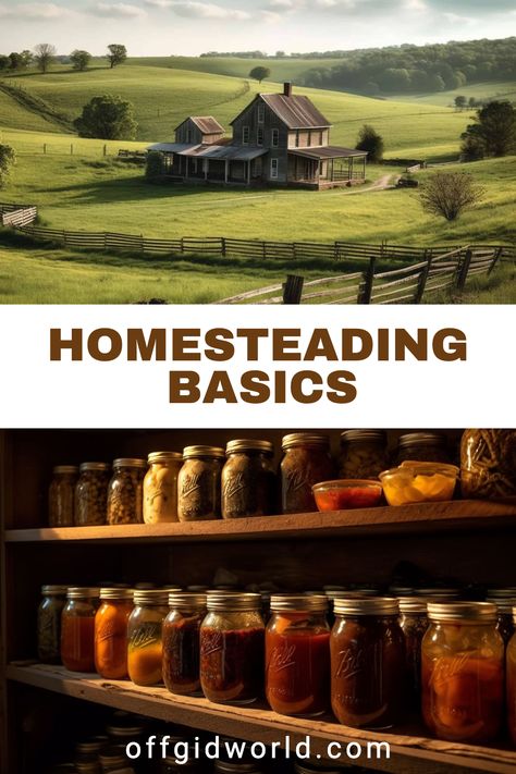 Living Off Grid, Homestead Living Aesthetic, Homesteading Aesthetic, Home Stead, Homestead Lifestyle, Sustainable Homestead, Poison Garden, Growing Your Own Food, Coconut Bowls