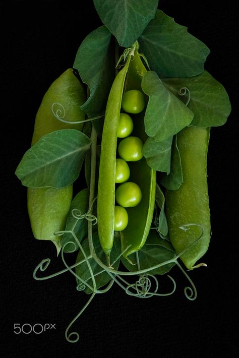 Vegetable Salads, Vegetables Photography, Vegetable Salad Recipes, Garden Vegetable, Peas In A Pod, Fruit Photography, Pea Pods, Snap Peas, Green Peas