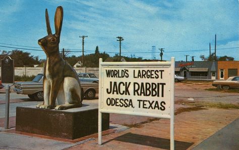 Monument Signage, Odessa Texas, Gods Country, Midland Texas, Only In Texas, Rabbit Life, Shrimp Boat, Monster Legends, Plains Indians