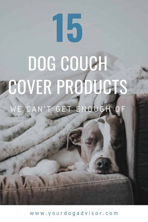 Couch Cover For Dogs, Protect Couch From Dog, Dog Blanket For Couch, Protect Furniture From Dogs, Dog Proof Couch, Sofa Protector Ideas, Best Couch For Dog Owners, Dog Friendly Couch, Couch Protector Pets