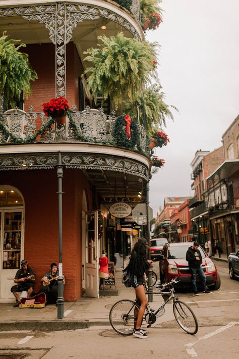 Christmas in New Orleans 1980s New Orleans, Christmas New Orleans, New Orleans Apartment Interior, New Orleans Jazz Aesthetic, New Orleans Aesthetic French Quarter, Nola Aesthetic, Christmas In New Orleans, New Orleans Swamp, Off The Beaten Path Travel