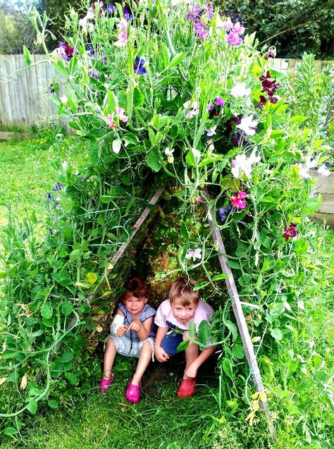 Sweet Pea Tepee Flowers Growing, Sensory Garden, Children's Garden, School Garden, Have Inspiration, The Secret Garden, Veggie Garden, Garden Cottage, Gardening For Kids