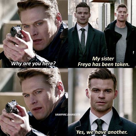 Originals Memes Funny, The Originals Memes Funny, Tvd Memes Funny, Tvd Season 7, Fandom Quotes, Vampire Diaries Memes, The Mikaelsons, Elijah Mikaelson, Damon Salvatore Vampire Diaries