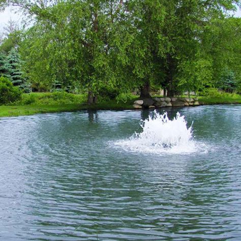 Pond Covers, Sheep Farming, Solar Pond, Swimming Ponds, Pond Aerator, Earth Bag Homes, Farm Pond, Earth Bag, Natural Swimming Ponds