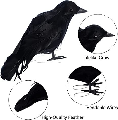 AmazonSmile: DR.DUDU Halloween Crow Decorations 6 Pack, Lifesize Handmade Realistic Black Feather Birds Prop, Fake Ravens Décor for Outdoor Indoor Party : Home & Kitchen Halloween Prop, Raven Decor, Halloween Raven, Crow Feather, Haunted House Props, Raven Bird, Crow Bird, Crows Ravens, Black Crow